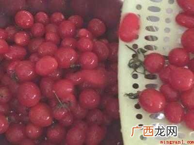 小番茄怎么洗