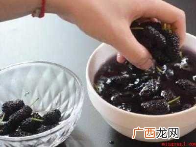 桑葚怎样清洗才干净