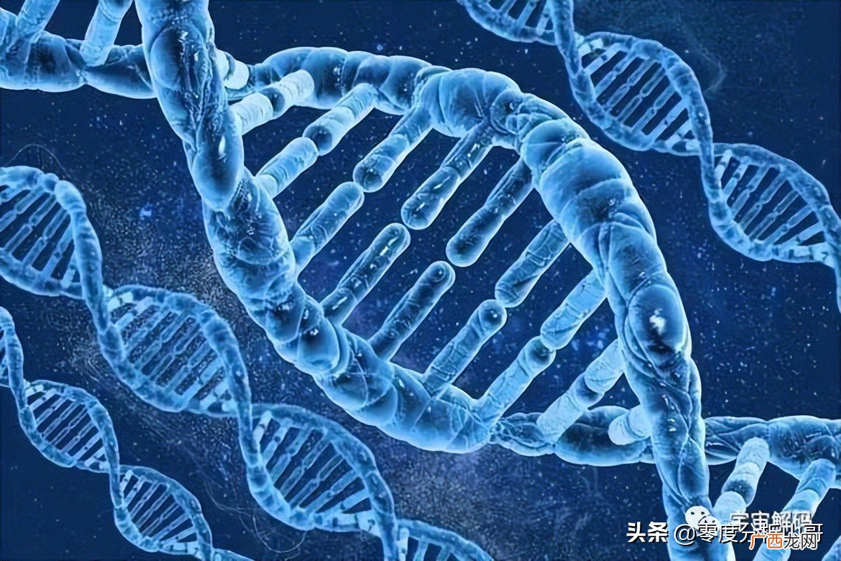历史文献有记载,是这样描述的 僵尸真的存在吗