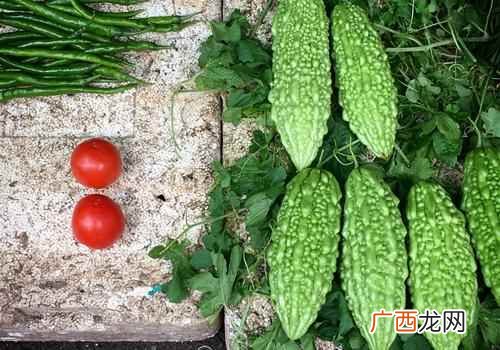 夏天上火吃什么好降火 夏天上火吃什么好