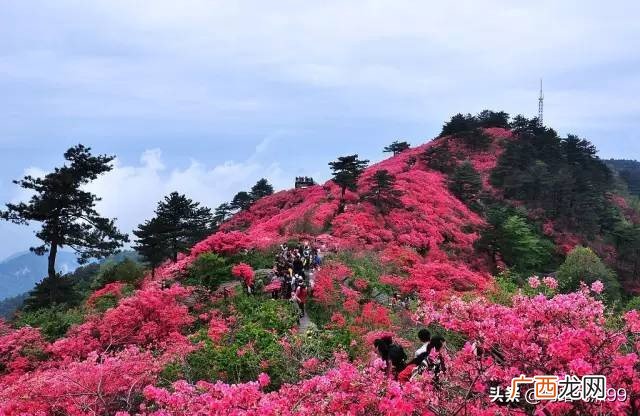 湖北黄冈著名好玩的地方排行榜前十名 黄冈旅游景点有哪些
