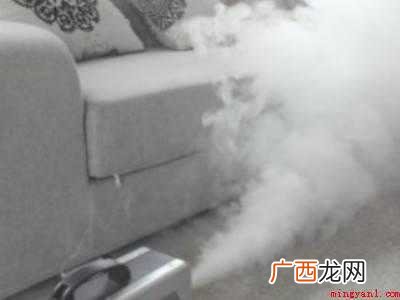 木虱子怎么去除最快方法