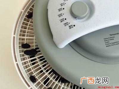 桑葚干的制作方法