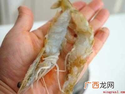 虾蒸粉丝怎么做好吃