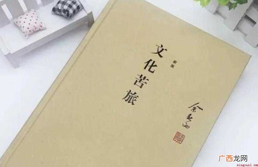 《文化苦旅》读后感怎么写