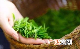 白茶茶喝起来的口感特征介绍 白茶口感特点及味道