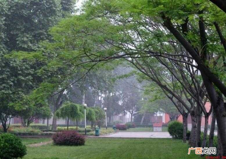 漯河职业技术学院怎么样