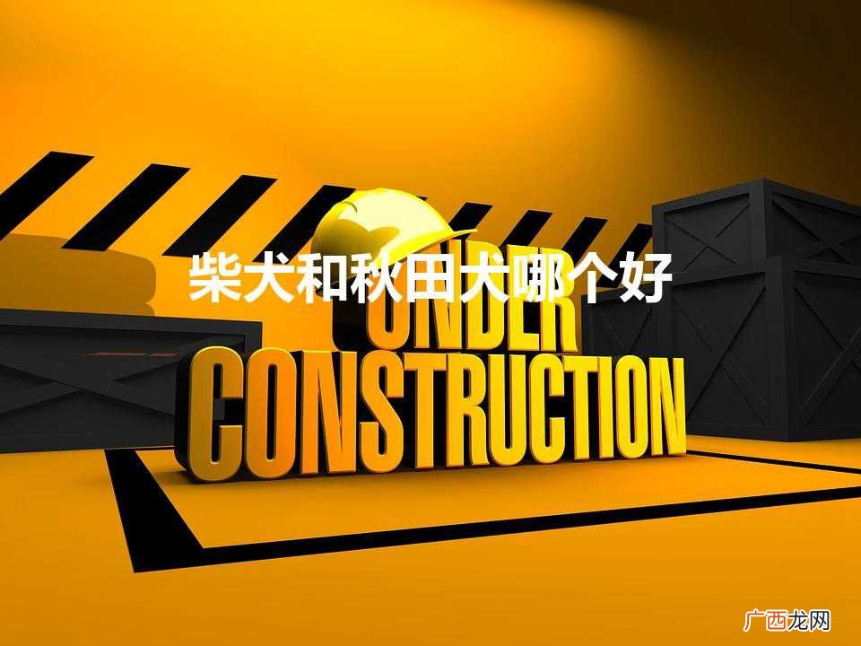 柴犬和秋田犬哪个好（养柴犬的人都后悔了)