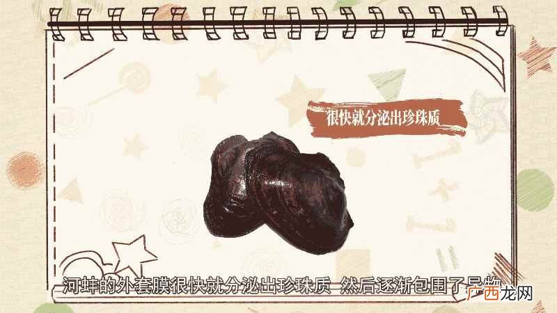 河蚌里面为什么会长出珍珠 河蚌里面为什么会长珍珠