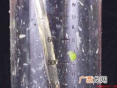 苦瓜柠檬茶怎么做