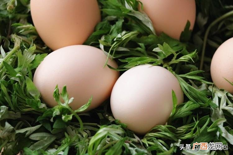 红糖艾叶煮鸡蛋的禁忌是什么 最好别用艾叶煮鸡蛋