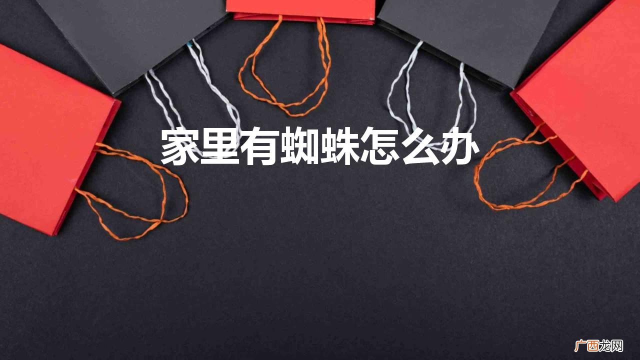 怎样消灭家里的蜘蛛最有效的方法 家里有蜘蛛怎么办