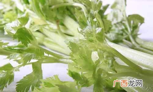 芹菜功效作用与主治 芹菜功效作用