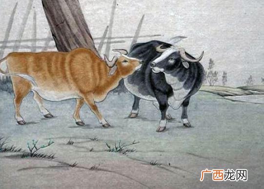 终身运势全解 85年属牛什么命,五行属什么
