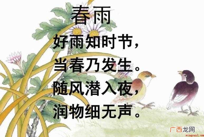 好雨知时节当春乃发生的意思是什么