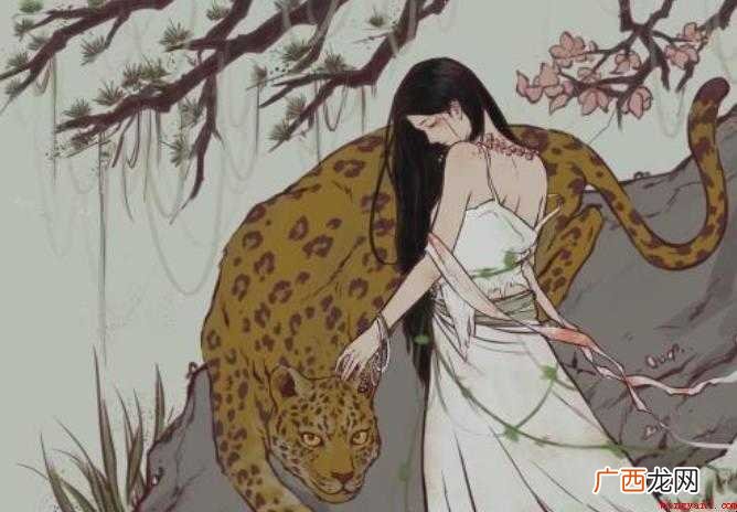 关于香草美人是什么意思 香草美人是什么意思
