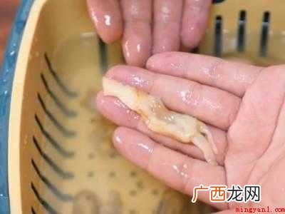 蛏王肉怎么清理