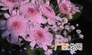朋友圈晒花的有趣文案 朋友圈发花文案怎么写