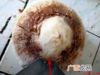 易开宝椰青怎么开