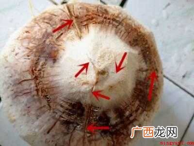 易开宝椰青怎么开