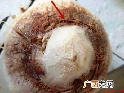 易开宝椰青怎么开