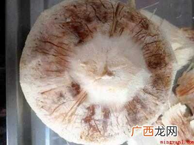 易开宝椰青怎么开