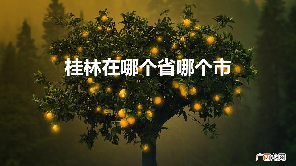 桂林在哪个省哪个城市呢 桂林在哪个省哪个市