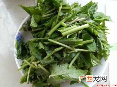 炒大叶芹的做法
