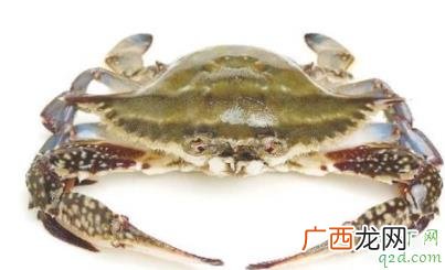 如何挑选满膏的青蟹 挑选青蟹的正确方法