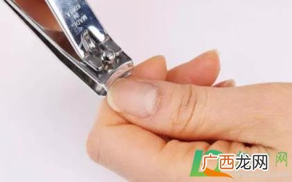 指甲钳怎么剪不伤指甲洗后最好剪指甲 指甲刀不快了怎么磨