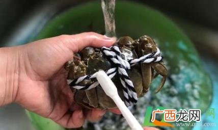 大闸蟹怎么清洗干净 公的大闸蟹怎么清洗