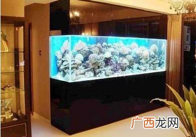 客厅鱼缸摆放位置 鱼缸位置的风水摆放客厅