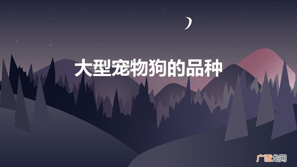 大型宠物狗的品种（大型宠物狗的品种大全)
