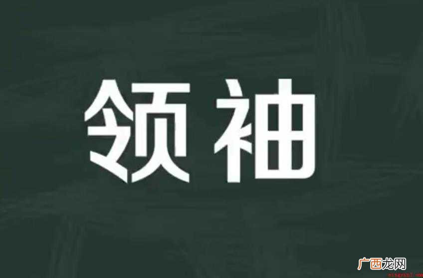 领袖的意思是什么