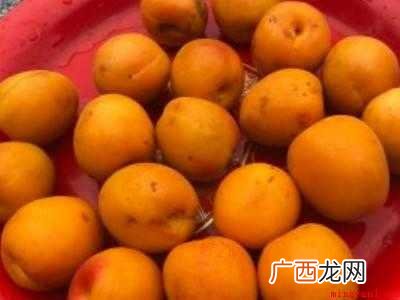 杏干怎么制作