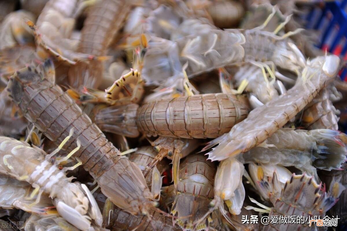 皮皮虾蒸多长时间才好吃 皮皮虾开水下锅还是冷水下锅