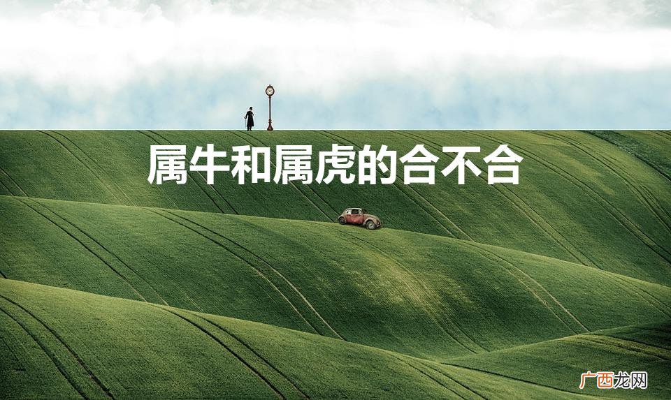 两个属相的人相配婚姻怎么样 属牛和属虎的合不合