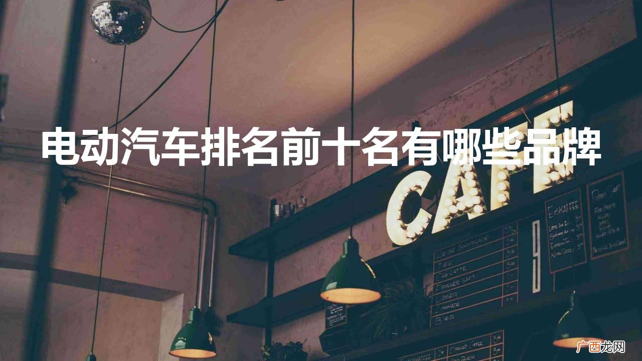 新能源电动汽车名牌 电动汽车排名前十名有哪些品牌