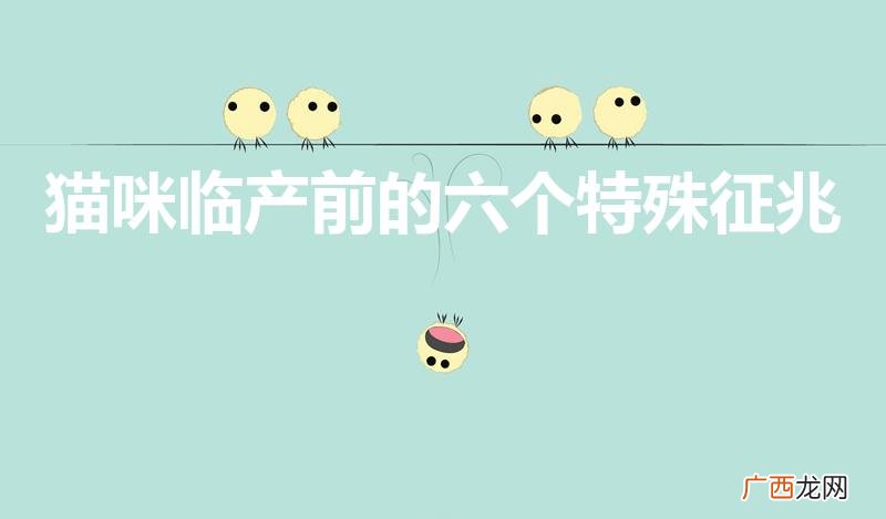 猫快生了有什么征兆 猫咪临产前的六个特殊征兆
