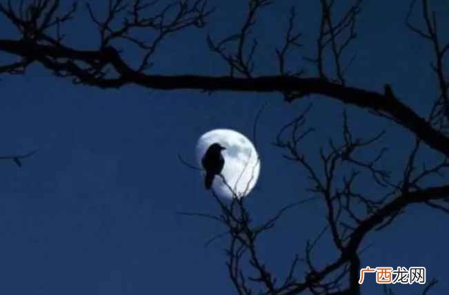 清风半夜鸣蝉的上一句是啥