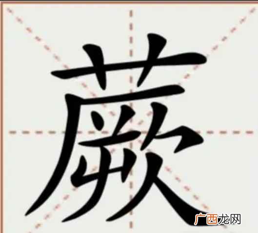 蕨怎么读