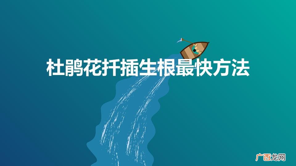 杜鹃花扦插生根最快方法（杜鹃花扦插生根最快方法是)