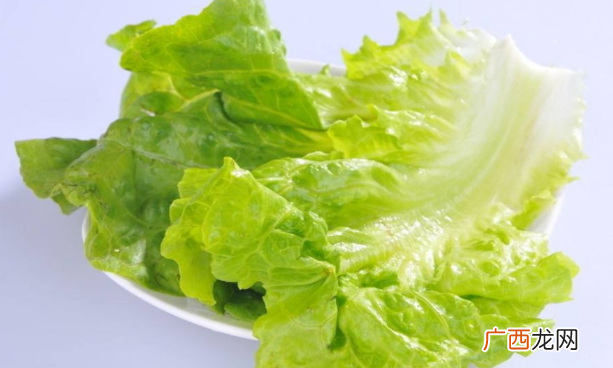 直接撒种好还是育苗栽种合适 生菜种子直接种还是先催芽好