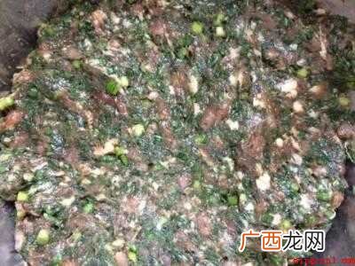 海蓬菜包子如何调馅