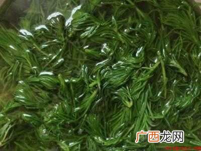 海蓬菜包子如何调馅