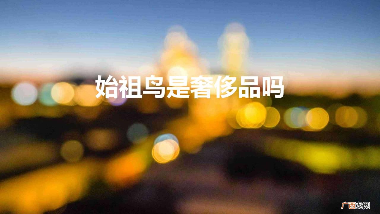 始祖鸟品牌的东西为什么那么贵 始祖鸟是奢侈品吗