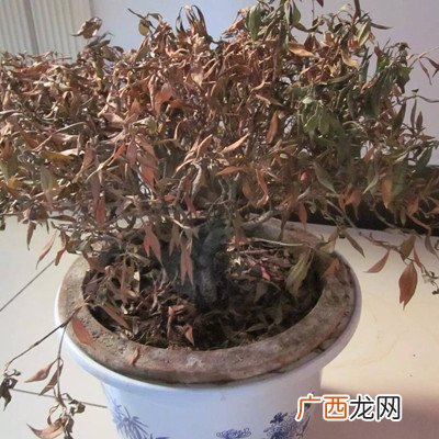 破坏房子风水最厉害的东西，家里有这些东西会倒霉破财，赶紧拿走！