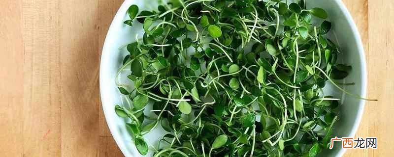 香椿芽苗菜怎么吃最好 香椿芽苗菜怎么吃