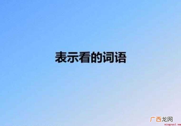 新词典词语丰富,信息量大 表示看的词语有哪些