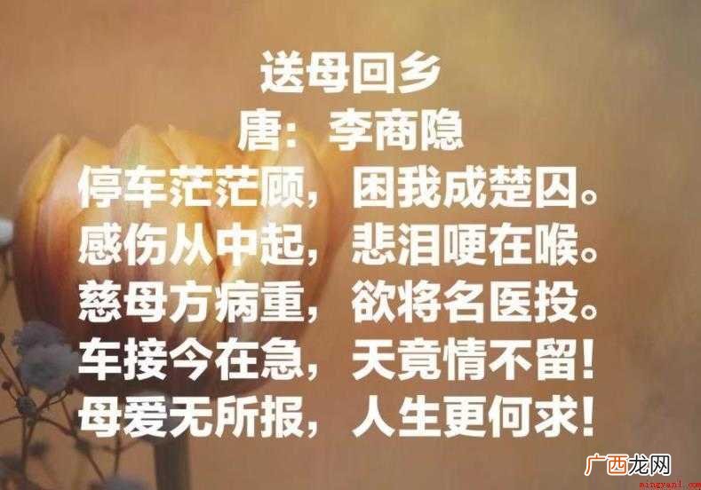 关于母亲节的诗歌有哪些 母亲节的诗歌有哪些